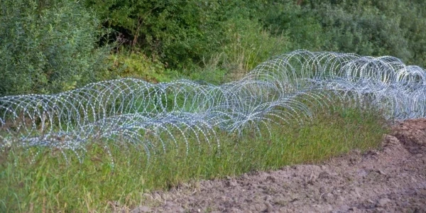 Ogrodzenie z drutu kolczastego na polsko-białoruskiej granicy