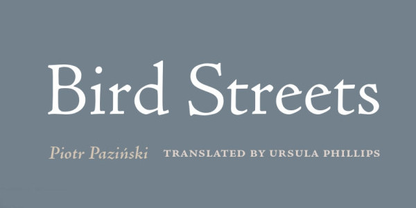 Piotr Paziński, Bird Streets