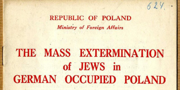 Reports from the Shadow. Poles Warn about the Holocaust!