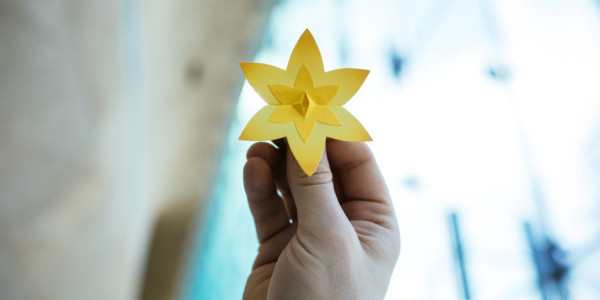 Akcja Żonkile, fot. M. Jaźwiecki_0